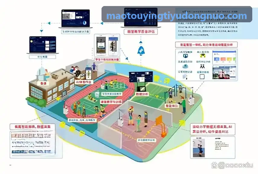 猫头鹰体育赛事与跑团运营配图